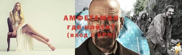 прущие грибы Корсаков