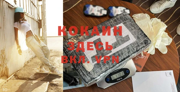 прущие грибы Корсаков