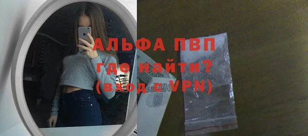 прущие грибы Корсаков