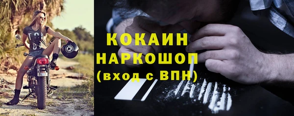 прущие грибы Корсаков